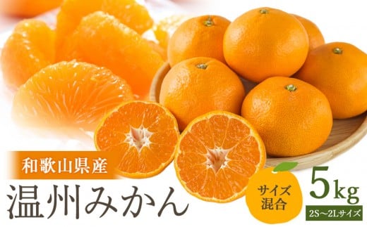 ms\n󂠂 B݂ 5kg 2S`2LTCYm2025N11{珇\na̎RCs8000ʕEt[c݂Ek