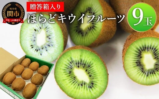 関市名産とれったひろば ほらどキウイフルーツ9玉「贈答箱入」【12月〜2月頃に順次発送】【申込期間:6月〜1月末日】岐阜県関市10000果物・フルーツその他 果物・フルーツ