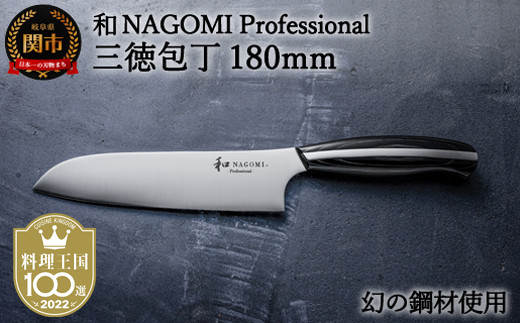 H100-07 ya NAGOMI ProfessionalzOiEʌE̍|ށjyŒ6ڈɔz򕌌֎s100000G݁Epi