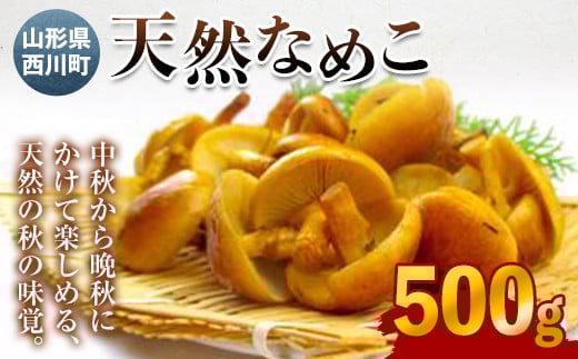 FYN9-026 《先行予約》山形県西川町産 天然なめこ 500g山形県西川町13000野菜・きのこきのこ
