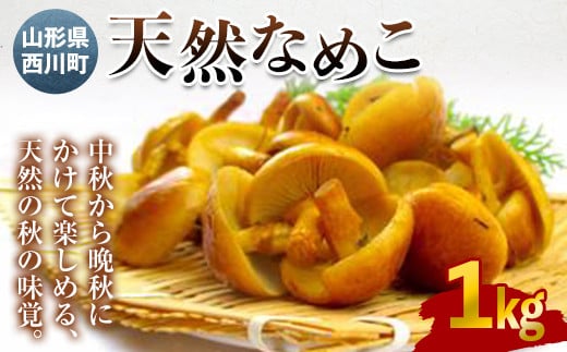 FYN9-025 《先行予約》山形県西川町産 天然なめこ 1kg山形県西川町26000野菜・きのこきのこ