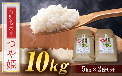 FYN9-110 P 10kg (5kg×2) R` 쒬Y  c Â |ݎR`쒬16000āEp