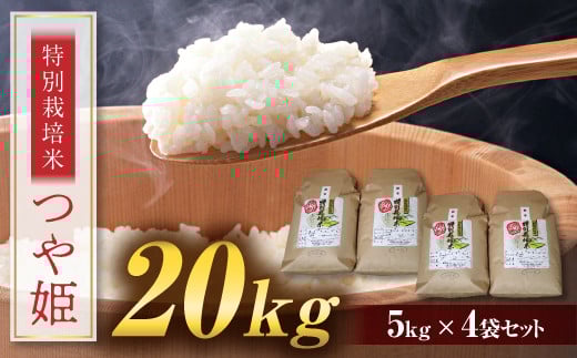 FYN9-112 P 20kg (5kg×4) R` 쒬Y  c Â |ݎR`쒬32000āEp