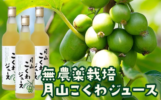 FYN9-179 月山こくわジュース 100%原液 さるなし コクワ 無農薬 酸味 山形県 西川町山形県西川町10000お茶・飲料果汁・野菜飲料