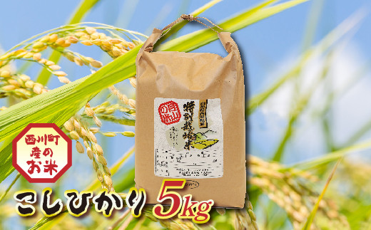 FYN9-205 山形県西川町産 こしひかり 5kg 白米 もちもち 粘り 甘み山形県西川町9000米・パン白米