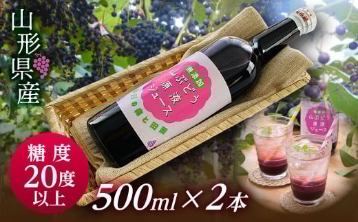 FYN9-343yR`쒬zx20xȏIÂt[eB[ȎR`YRԂǂtW[X 500ml×2{ uhE 100 R`쒬15000Eʏ`E؈
