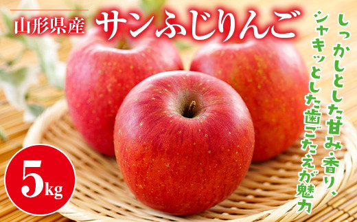 FYN9-385 ご家庭用 山形県産 サンふじりんご 5kg 2025年11月中旬から順次発送 林檎 りんご リンゴ 秋果実 果物 くだもの フルーツ 自宅用 家庭用 産地直送 期間限定 山形県 西川町 月山山形県西川