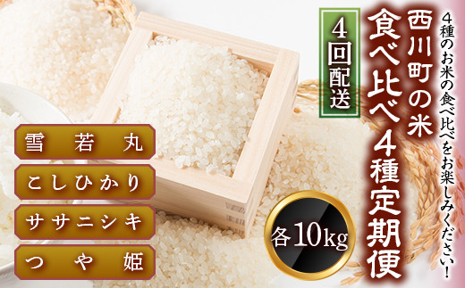 FYN9-427 【定期便4回】 山形県西川町のお米 食べ比べセット 各10kg 食べ比べ 食べくらべ山形県西川町72000米・パン白米