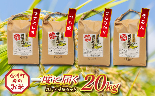 FYN9-121 山形県西川町産ブランド米 食べくらべB 詰合せ 詰め合わせ 食べ比べ山形県西川町36000米・パン白米