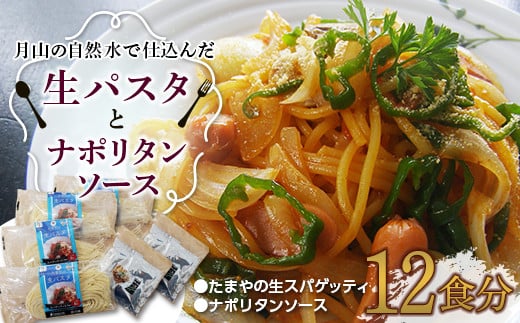 FYN9-480 【玉谷製麺所】たまやの生パスタ・ナポリタンセット(12食分)めん 麺 麺類 山形県 西川町山形県西川町11000麺パスタ