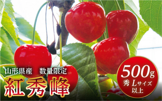 FYN9-602 《2026年先行予約》山形県産 さくらんぼ 紅秀峰 500g 秀 L以上 バラパック詰め 2026年6月中旬から順次発送 果実 果物くだもの フルーツ 桜桃 サクランボ 化粧箱 贈り物 ギフト 贈答用 家