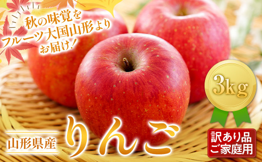 FYN9-599 s2025Ns\tƒp R`Y  3kg 2025N11{珇 ь S Hʎ ~ʎ ʕ  t[c 󂠂 _Ǝ _ x  ƒ Yn R` 