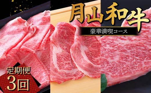 FYN9-865 【定期便3回】 山形県産黒毛和牛 《月山和牛》 豪華満喫コース しゃぶしゃぶ すき焼 ステーキ 牛肉 山形県 西川町山形県西川町190000肉牛肉