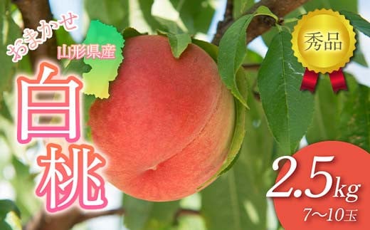 FYN6-226 2026Ns\②p R`Y ܂  2.5kg(7`10) Gi 2026N8{珇 _炩Ȃ铍 ĉʎ ʎ ʕ  t[c   s[` ϔ  Mt