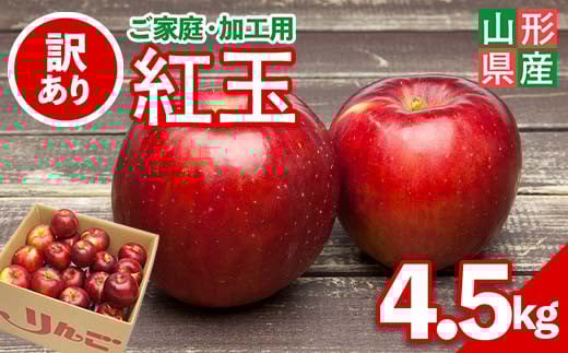 FYN6-148 ≪2025年先行予約≫ ご家庭・加工用 山形県産 りんご 紅玉 4.5kg 2025年10月上旬から順次発送 中生種 早い 林檎 リンゴ こうぎょく 果物 くだもの フルーツ 秋果実 訳あり 加工用 家庭用