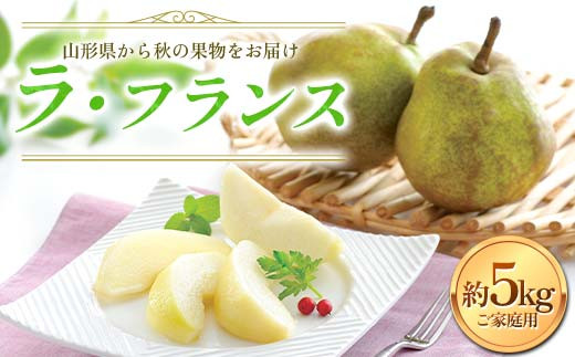 FYN6-057 ≪2025年先行予約≫ご家庭用 山形県産 西洋梨 ラ・フランス 約5kg (12〜20玉) 2025年11月上旬から順次発送  洋梨 洋なし ラフランス 秋果実 果物 くだもの フルーツ 訳あり 家庭用 自宅用
