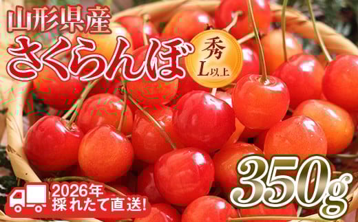 FYN6-254 ≪2026年先行予約≫山形県産 さくらんぼ 品種おまかせ(佐藤錦・紅秀峰など) 350g 秀/L以上 バラパック詰め 2026年6月中旬頃より発送 果物 くだもの フルーツ 夏果実 サクランボ チェリー