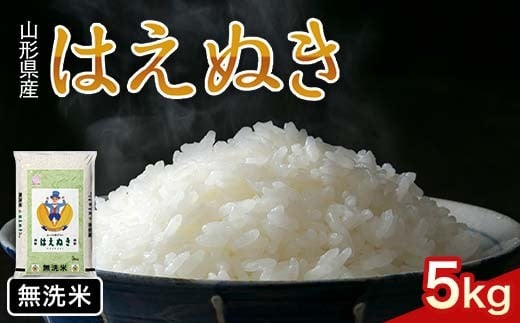FYN1-239 令和7年産 新米 山形県産 はえぬき 5kg 2025年 お米 米 米米 ごはん ご飯 白米 国産 ブランド米 節水 時短 冷めてもおいしい お取り寄せ 食品 山形県 西川町 月山山形県西川町13000米・パ