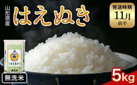 FYN1-241 【11月発送】令和7年産 新米 山形県産 はえぬき 5kg 2025年 お米 米 米米 ごはん ご飯 白米 国産 ブランド米 節水 時短 冷めてもおいしい お取り寄せ 食品 山形県 西川町 月山山形県西川