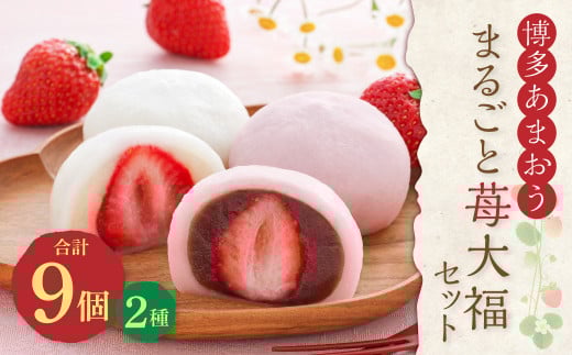 博多あまおう まるごと 苺大福 9個セット 和菓子 白あん こしあん (YF-MA)【配送不可地域:離島】福岡県遠賀町12000菓子・スイーツ饅頭・羊羹・大福