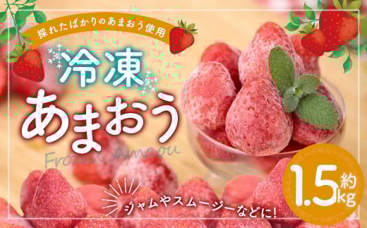 冷凍あまおう 約1.5kg 冷凍フルーツ いちご福岡県遠賀町12000果物・フルーツいちご