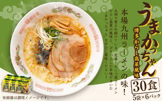 うまかっちゃん 博多からし高菜風味 30食 (5袋×6パック) とんこつ ラーメン インスタントラーメン 袋麺福岡県遠賀町13000麺ラーメン