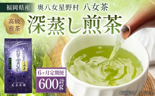 y6ցzyz쑺 [ ([) 100g×1ܕ꒬36000E