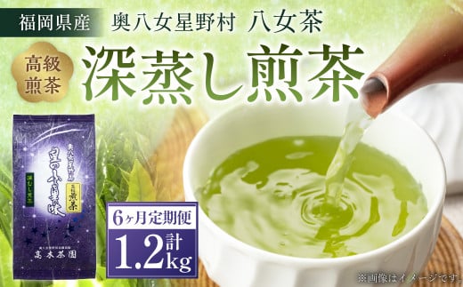 【6ヶ月定期便】【八女茶】奥八女星野村 深蒸し高級煎茶 (深蒸し茶) 100g×2袋福岡県遠賀町72000お茶・飲料お茶