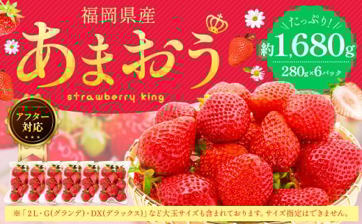yAt^[Ήz܂ 280g×6pbN y2026N1{`3{\z  C`S  ʕ t[c ꒬꒬12000ʕEt[c