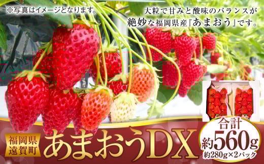 あまおうDX 約280g×2パック あまおう いちご イチゴ 苺 果物 くだもの フルーツ 【2026年2月上旬〜4月上旬発送予定】福岡県遠賀町11000果物・フルーツいちご