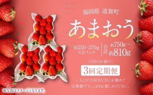 【3回定期便】あまおう 3パック 計約750〜810g  ×3回 あまおう いちご イチゴ 苺 果物 くだもの フルーツ 定期便【2026年1月下旬〜4月下旬発送予定】福岡県遠賀町36000果物・フルーツいちご
