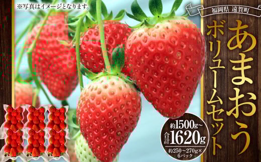 あまおうボリュームセット 6パック 計約1500〜1620g あまおう いちご イチゴ 苺 果物 くだもの フルーツ【2026年2月上旬〜4月上旬発送予定】福岡県遠賀町24000果物・フルーツいちご