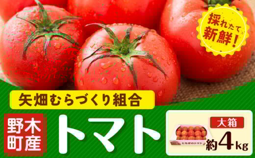【先行予約】トマト 約4kg 大箱 栃木県 野木町産 矢畑むらづくり組合 《2025年10月上旬-2026年6月下旬頃出荷》栃木県 野木町 トマト 野菜 新鮮栃木県野木町13000野菜・きのこトマト