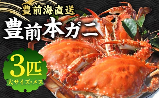 ys\z LO{Kj  X 3C y2025N12ȍ~z sLOstyLzƋgz  I Jj ^Kj ɗ KU~ [VAG011]LOs87000ECYJj