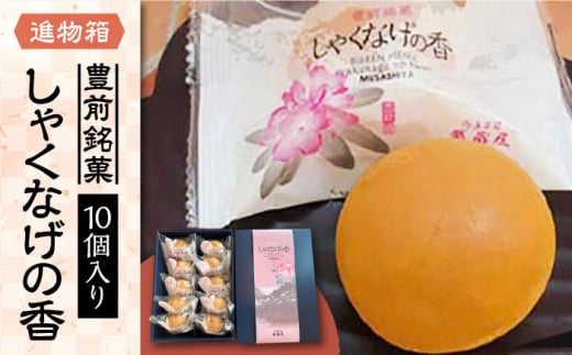 yizႭȂ̍ 10sLOstyz Mtg 蕨 aَq [VBU004]LOs8000َqEXC[c̑ aَq