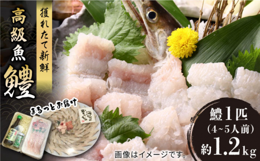 lꂽĒIn { 1.2kg (4~5lO)sLOsty܂Ƃz  ͂ hg [VAL001]LOs45000ECYȂ