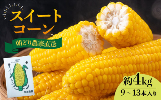 ys\zXC[gR[  4kg i9`13{jy2026N6菇z sLOsty{_z Ƃ낱 [VBT001]LOs12000؁ÊƂ낱