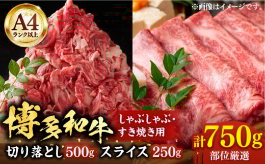 yA4ȏza XCX 250g ؂藎Ƃ500g Ԃ Ă p i [X / o /  jsLOstyMEAT PLUSz  [VBB007]LOs14000
