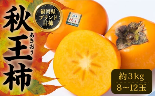 ys\zH () ` 3kg  (8-12)y2025N10ȍ~zsLOsty썑t[cz` ʕ t[c zs[VBY007]LOs35000ʕEt[c̑ ʕE