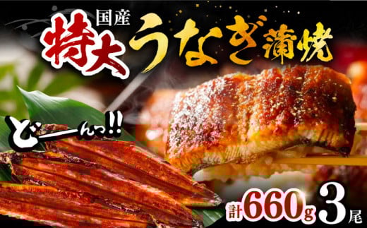 Y Ȃ   3 v 660 gi1 220gȏjsLOsty{Vz Y V Ă [VAD005]LOs23000ECYȂ