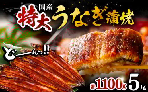 Y Ȃ   5 v 1,100 gi1 220gȏjsLOsty{Vz Y V Ă [VAD006]LOs36000ECYȂ