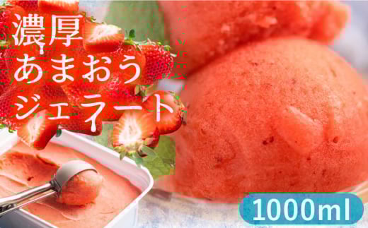 Y Z ܂ WF[g 1000mlsLOsty썑t[cЁz ACX   [VBY001]LOs14000َqEXC[cACXEWF[g