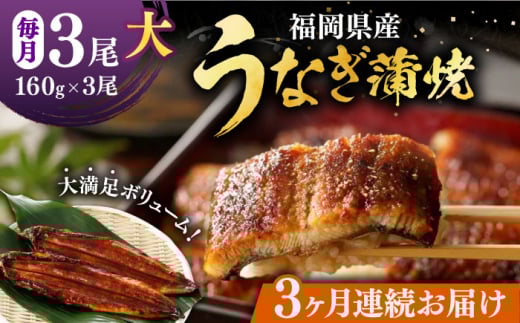 yS3ցzY Ȃ  3 v 480 gi1 160gȏjsLOsty{Vz Y Ȃ  [VAD014]LOs61000ECYȂ