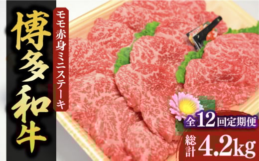 yS12ցzyϔzaA5`A4 Ԑg ~jXe[L350g \[XEӞtsLOstyЃ}܁z [VCL107]LOs260000