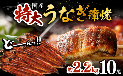 Y Ȃ   10 v2,200gi1 220gȏjsLOsty{Vz Y V EiM Ă [VAD030]LOs68000ECYȂ