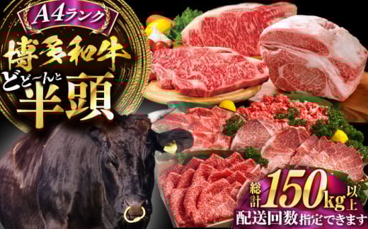 yۂƃI[_[JbgIza HאsZbgsLOstyMEAT PLUSz [VBB083]LOs5167000