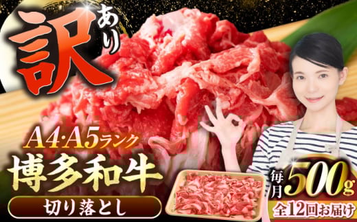 yS12ցzy󂠂zyA4`A5Nza ؂藎Ƃ 500gsLOstyЖؑHizY јa  Ⴊ [VDZ047]LOs148000