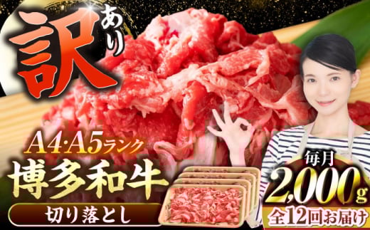 yS12ցzy󂠂zyA4`A5Nza  ؂藎Ƃ 2.0kgi500g×Sj sLOstyЖؑHiz Y J[ Ⴊ [VDZ151]LOs368000