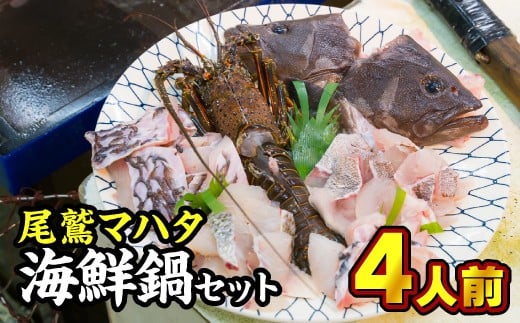 幻の魚『尾鷲マハタ』海鮮鍋セット《10月〜4月期間限定出荷:先行予約も可(到着日時指定必須商品)》 UO-45三重県尾鷲市30000魚介・海産物貝類