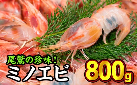 珍味!オニエビ(ミノエビ) 800gセット 天然 鮮度抜群 漁船直送 海の上で食べる味 直送 海老 えび エビ 殻付き 有頭 生食 刺身 冷蔵 魚介類 魚貝類 海産物 おかず 産地直送 三重県産 尾